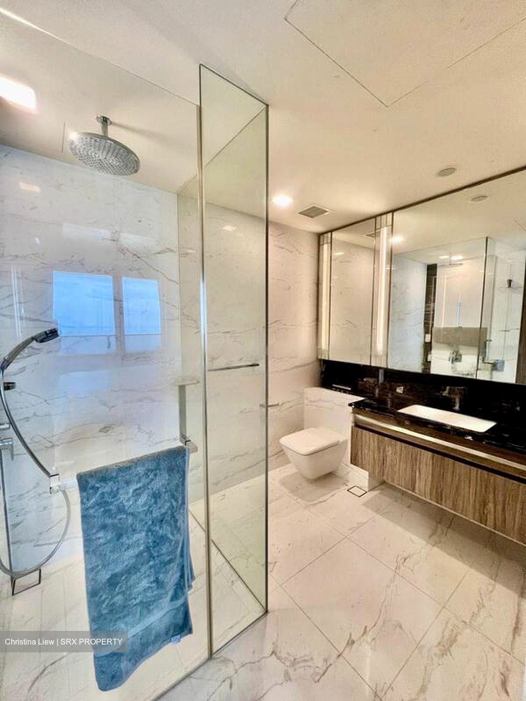 Wallich Residence  (D2), Condominium #465157801
